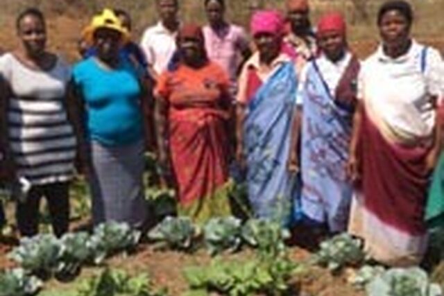 Local Gov SRHR South Africa image