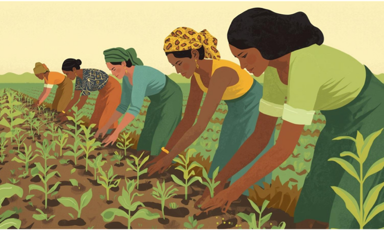 Zimbabwe: Women farmers sowing seeds of equality