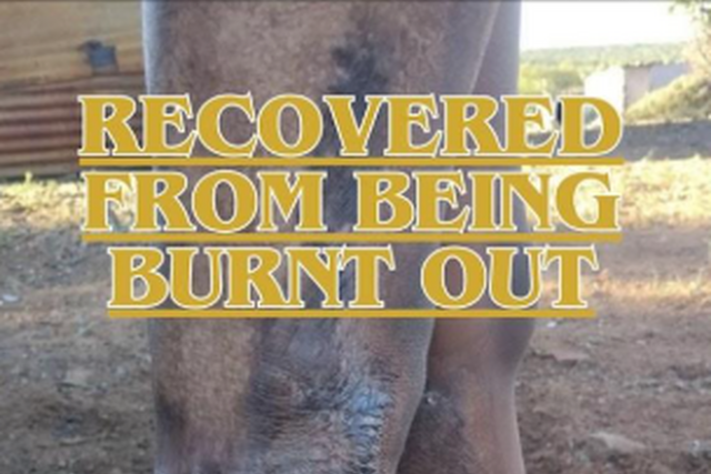 South Africa: Burnt but Not Broken