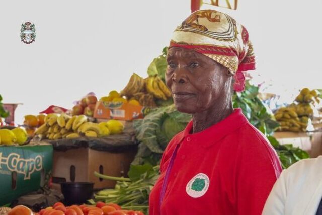 Dorcas Chingwaru GLZ and Embassy of Sweden visit to Kariba 3 600x400