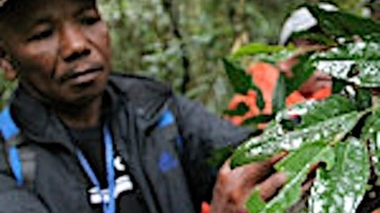 Comoros: Economic and climate justice