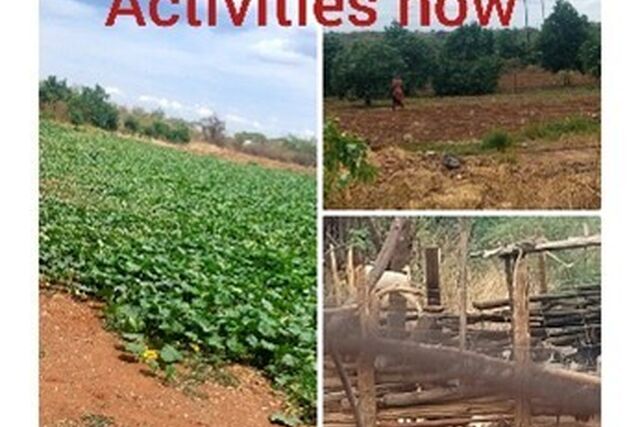 Zimbabwe: From Scars to Stars — The Journey of Women at Botha Farm