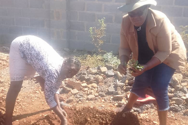 Zimbabwe: Breaking cycles, building futures