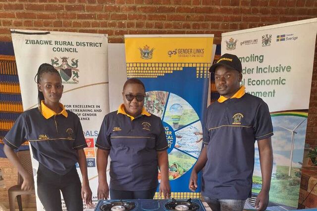 Zimbabwe: Eunice Tunhira, Zibagwe