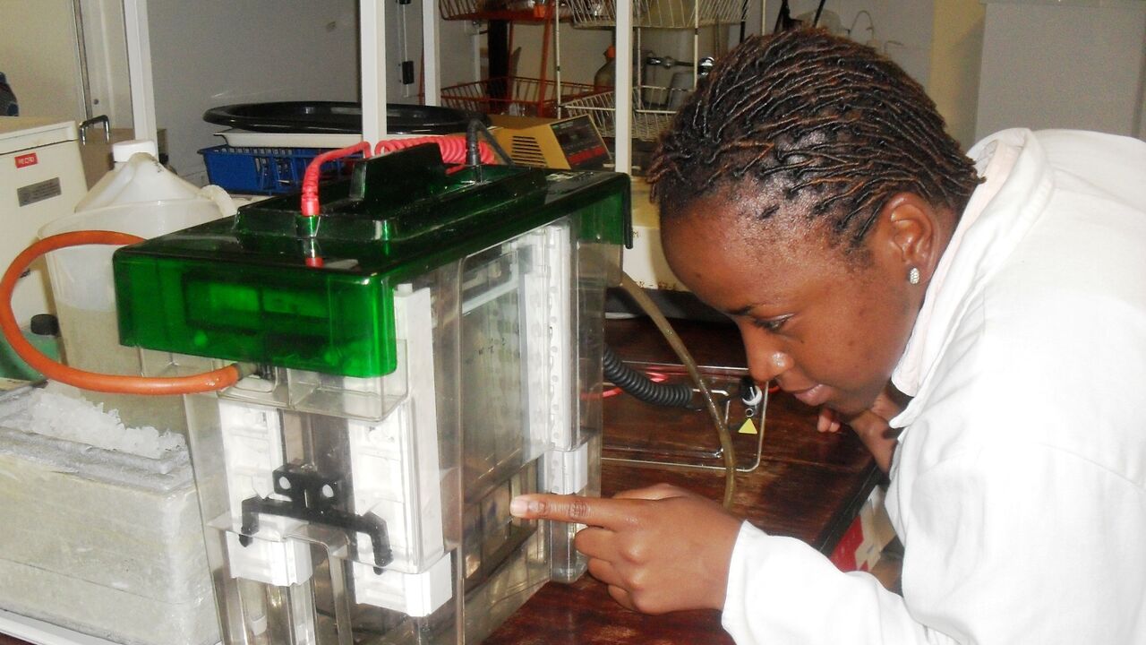 Zimbabwe: Economic and climate justice