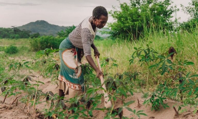 Malawi: Breaking barriers in agriculture