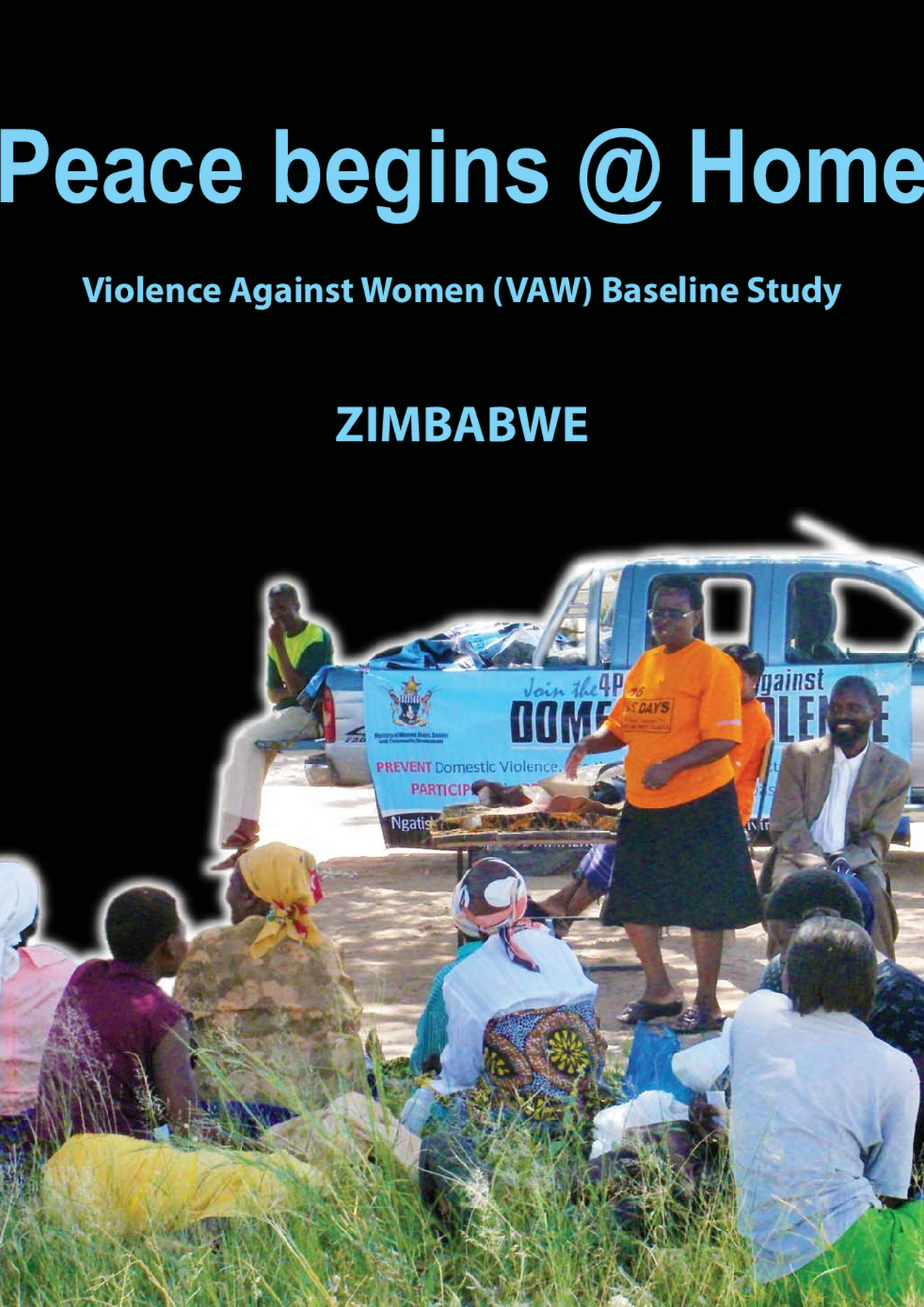 GBV Study Zim2013