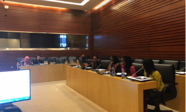 Young women issues, a priority for Africa's future