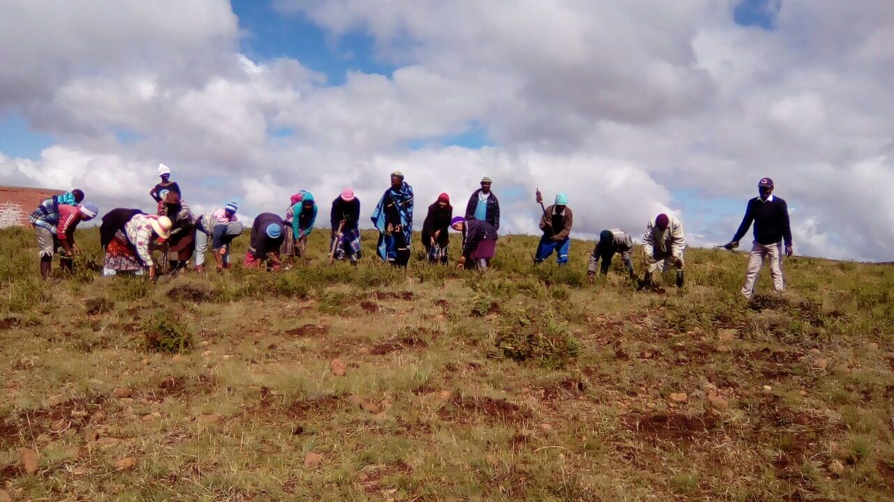 Thabana Morena Community working on catchment as a climate change measures_Lesotho_Neo Mahase