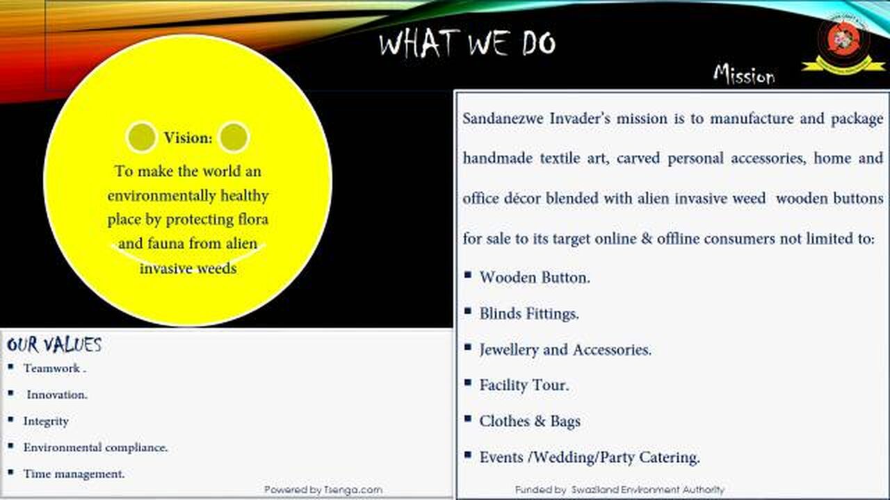 Mission statement-Sandanezwe Invader craft