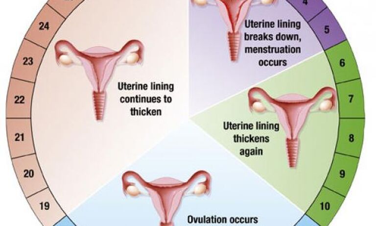 Tanzania: Role of parents & guardians in menstrual health education