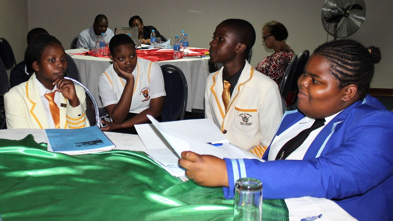 Zimbabwe LG_SRHR workshop_tz_112018 (61)