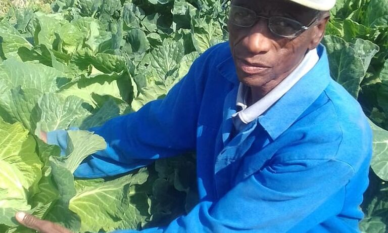 Climate Change, COVID- 19 double impact on farmers