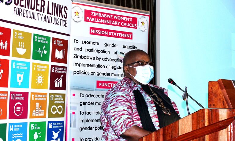 Zimbabwe: quotas alone not enough