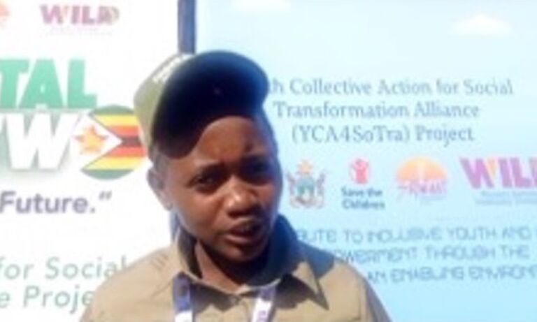 Zimbabwe: Fisherwomen harness the sun