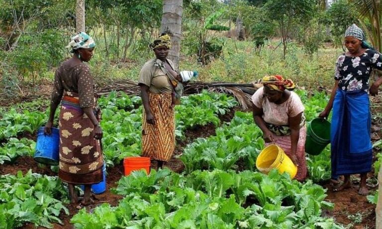 International Day of Rural Women