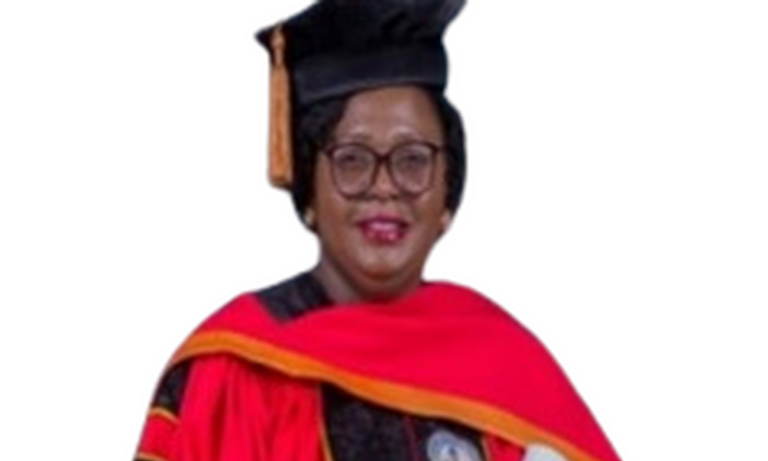 Gender Committee Chairperson to Council Vice Chairperson