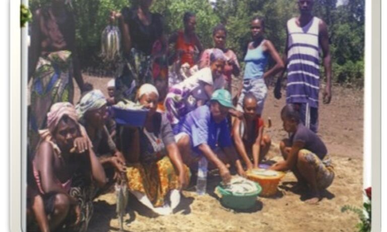 SAROBIDY NY HONKO NA MANGROVES KA AROVY