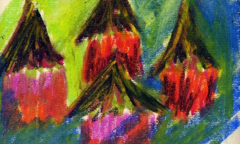 Khanyisile Mamba - Swaziland